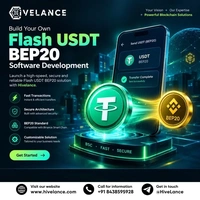 How a Flash USDT BEP20 Software Development Company Builds Secure Blockchain Solutions