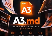 44